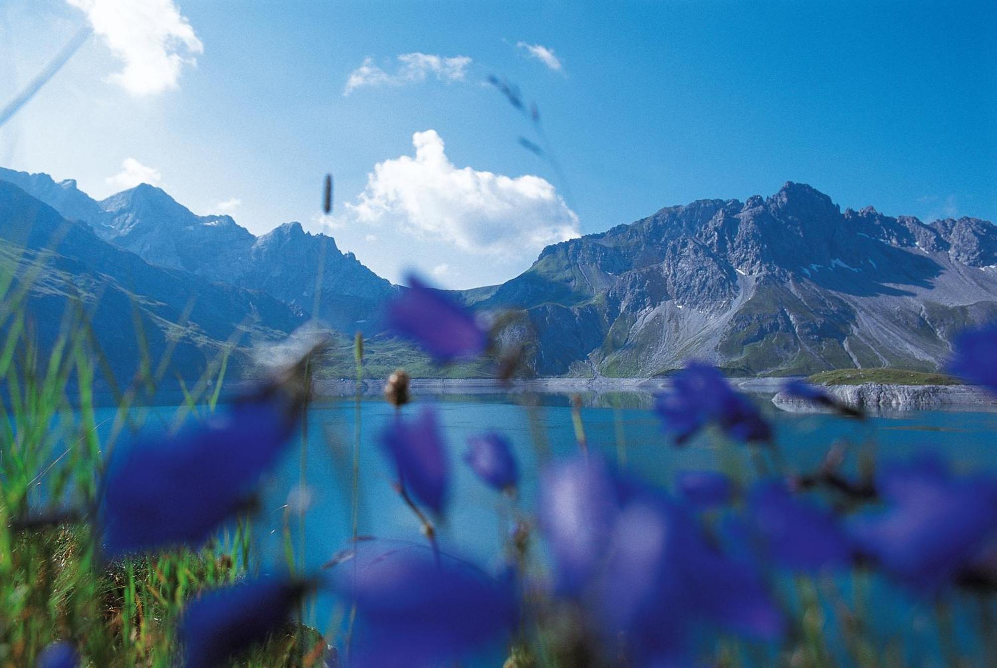 Haus Edelweiss Daire Brand  Dış mekan fotoğraf